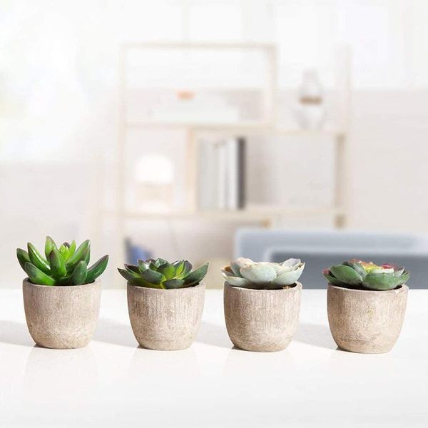 decorative flowers & wreaths mini simulation succulents potted multi-function home office decoration small ornaments fake
decorative flowers & wreaths mini simulation succulents potted multi-function home office decoration small ornaments fake