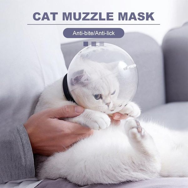 cat collars & leads pet elizabethan collar for headgear breathable circle after anti-bite lick wound healing safety mask
cat collars & leads pet elizabethan collar for headgear breathable circle after anti-bite lick wound healing safety mask