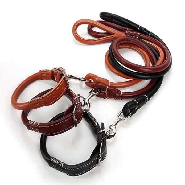 leash correa de perro collares para perros acesorios honden riem correas dog collar leather dieren benodigheden hond correas pet
leash correa de perro collares para perros acesorios honden riem correas dog collar leather dieren benodigheden hond correas pet