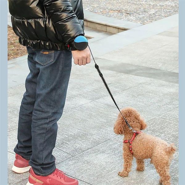 dog collars & leashes wrist pet rope traction adjustable strap for teddy cat
dog collars & leashes wrist pet rope traction adjustable strap for teddy cat