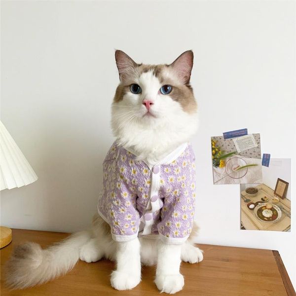 cat costumes clothes winter warm puppy kitten cute jacket coat pet dog cardigan sweater chihuahua pajamas outfits for small dogs cats
cat costumes clothes winter warm puppy kitten cute jacket coat pet dog cardigan sweater chihuahua pajamas outfits for small dogs cats