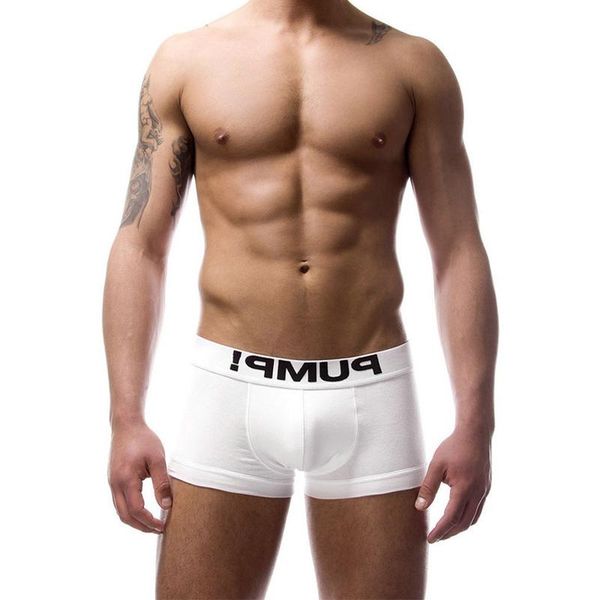 underpants fashion cotton gay men boxers shorts low waist cueca man underwear boxer men's panties box, Black;white
underpants fashion cotton gay men boxers shorts low waist cueca man underwear boxer men's panties box, Black;white