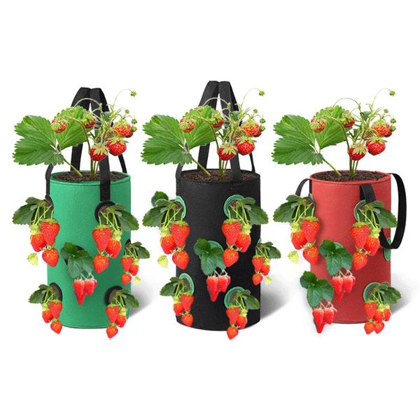 planters & pots vegetable potato plant growth bags strawberry grow bag for garden greenhouse 1pc vertical hanging outdoor 12 holes
planters & pots vegetable potato plant growth bags strawberry grow bag for garden greenhouse 1pc vertical hanging outdoor 12 holes