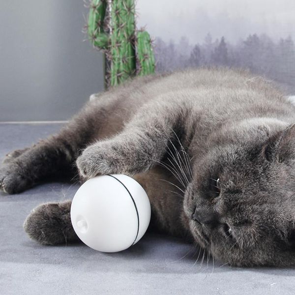 cat ball toy led laser red light electronic rolling ball funny toy cat interactive laser electric funny pet supplies
cat ball toy led laser red light electronic rolling ball funny toy cat interactive laser electric funny pet supplies