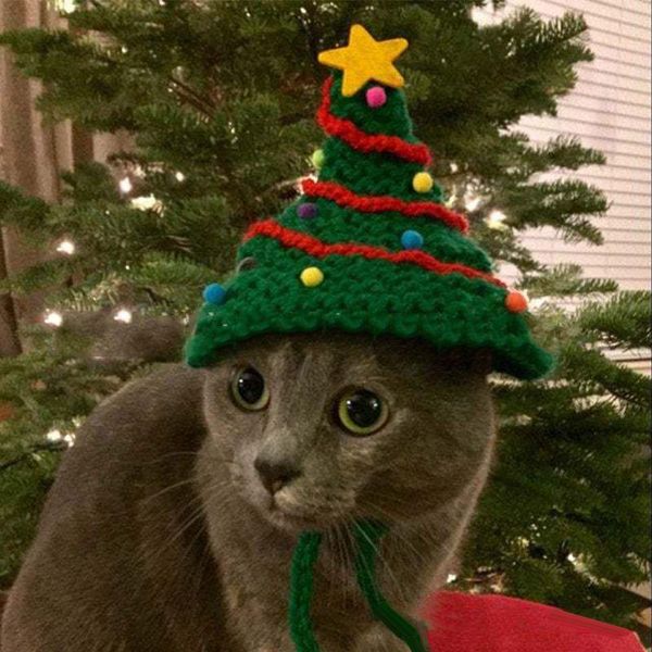 halloween cute christmas tree knitted woolen cap pet crossdresser hat soft dog costume lightweight comfortable itch-festive
halloween cute christmas tree knitted woolen cap pet crossdresser hat soft dog costume lightweight comfortable itch-festive