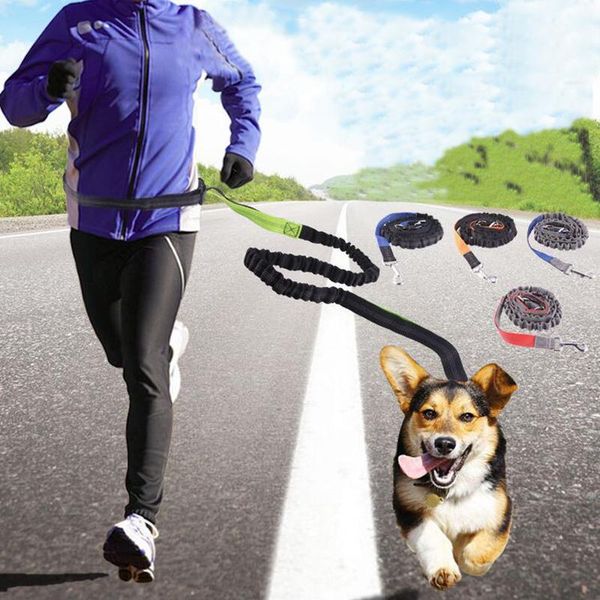 dog collars & leashes running traction rope pet contraction supplies walk belt waist elastic reflective adjustable
dog collars & leashes running traction rope pet contraction supplies walk belt waist elastic reflective adjustable