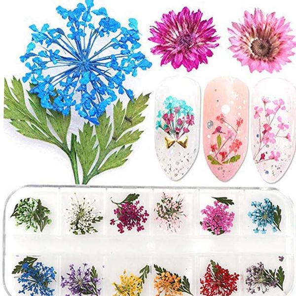 1 box real dried ammi majus flower leaf dry plants for epoxy resin pendant necklace jewelry making craft diy acc jlluxn
1 box real dried ammi majus flower leaf dry plants for epoxy resin pendant necklace jewelry making craft diy acc jlluxn