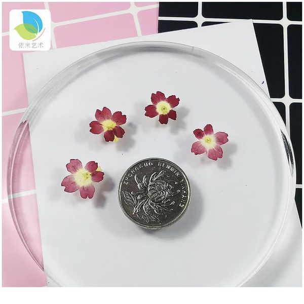verbena small real dried flower dry plants for candle epoxy resin pendant necklace jewelry making craft diy a jllazp
verbena small real dried flower dry plants for candle epoxy resin pendant necklace jewelry making craft diy a jllazp