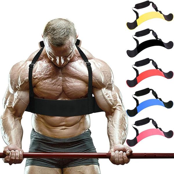 accessories weight lifting arm blaster adjustable aluminum bodybuilding bicep triceps curl bomber muscle training gym equipment
accessories weight lifting arm blaster adjustable aluminum bodybuilding bicep triceps curl bomber muscle training gym equipment
