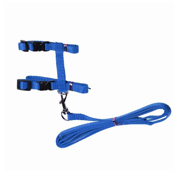 cat collars & leads handheld puppy travel durable dog home pet accessories outdoor walking camping traction belt
cat collars & leads handheld puppy travel durable dog home pet accessories outdoor walking camping traction belt