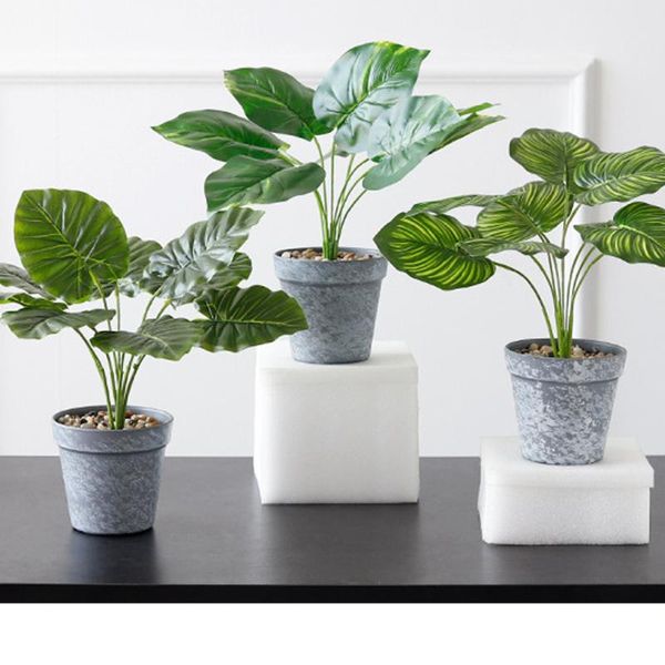 artificial plants fake potted plants simulation scindapsus monstera leaves home garden living room bedroom balcony decoration
artificial plants fake potted plants simulation scindapsus monstera leaves home garden living room bedroom balcony decoration