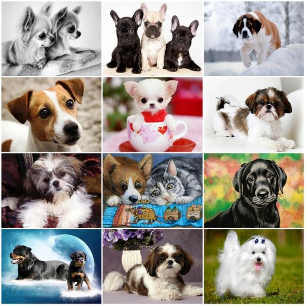 paintings azqsd diy unframe oil painting by numbers dog acrylic paint coloring canvas animal handpainted gift kits
paintings azqsd diy unframe oil painting by numbers dog acrylic paint coloring canvas animal handpainted gift kits