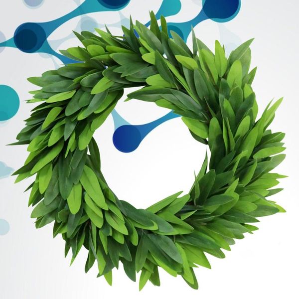 decorative flowers & wreaths 1pc simulation eucalyptus leaf wreath realistic green rattan door household garland ornament for home store (gr
decorative flowers & wreaths 1pc simulation eucalyptus leaf wreath realistic green rattan door household garland ornament for home store (gr