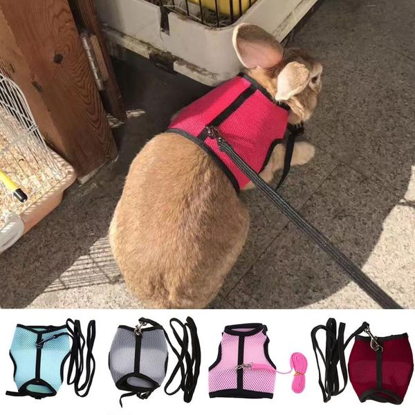 cat collars & leads d08d hamster mesh harness leash ferret small animal pet walk lead
cat collars & leads d08d hamster mesh harness leash ferret small animal pet walk lead