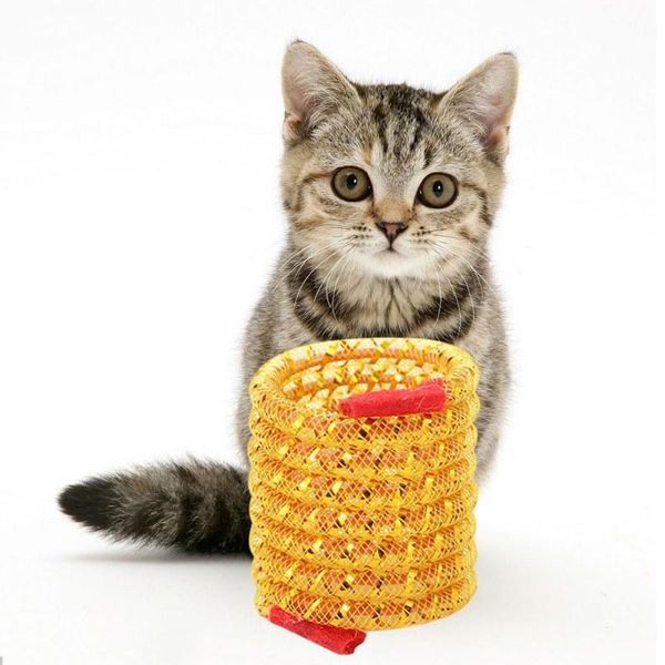 cat toys funny spring toy---flexible pipe colorful coil spiral springs pet action wide durable interactive random color
cat toys funny spring toy---flexible pipe colorful coil spiral springs pet action wide durable interactive random color