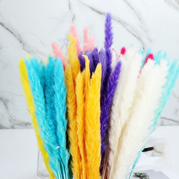 wedding natural dry small plants, 15, a bunch of family decorative vases, artificial flowers
wedding natural dry small plants, 15, a bunch of family decorative vases, artificial flowers