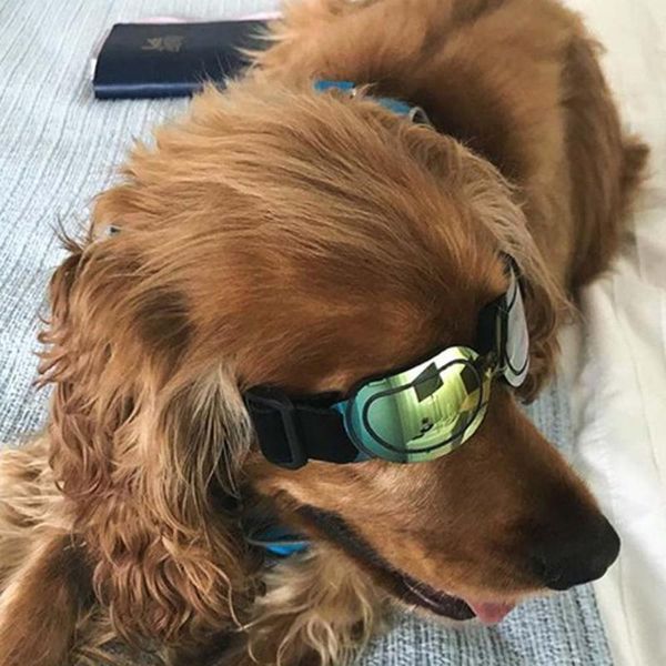 dog apparel colorful pet sun glasses sunglasses eye wear waterproof protection goggles
dog apparel colorful pet sun glasses sunglasses eye wear waterproof protection goggles