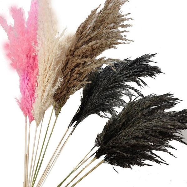 decorative flowers & wreaths 10pcs dried pampas grass bunch pure natural reed window display wedding home decor flower
decorative flowers & wreaths 10pcs dried pampas grass bunch pure natural reed window display wedding home decor flower