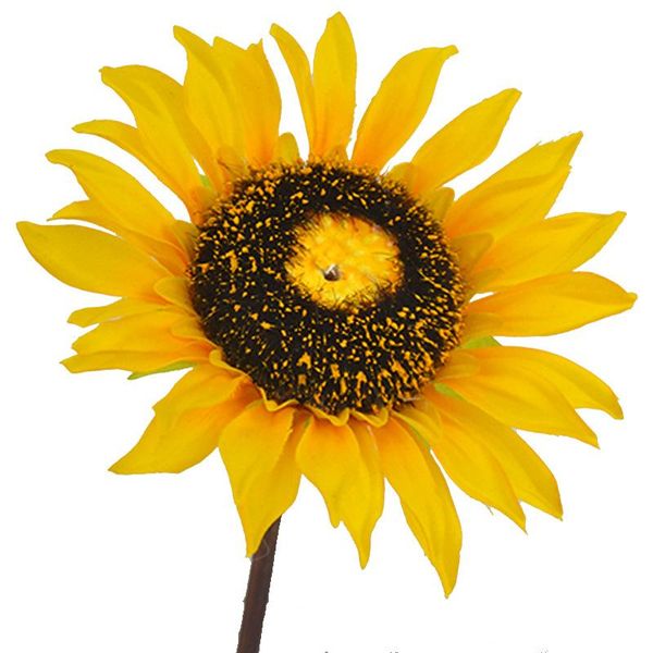 wedding flowers single sunflower simulation sardinia home decoration pography props floral fake flower
wedding flowers single sunflower simulation sardinia home decoration pography props floral fake flower