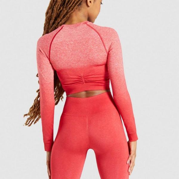 yoga outfit women's sport set long-sleeved seamless 2pcs tracksuits high waist tight-fitting leggings sports crop suit for fitness
yoga outfit women's sport set long-sleeved seamless 2pcs tracksuits high waist tight-fitting leggings sports crop suit for fitness