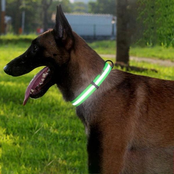 dog collars & leashes reflective embossing adjustable silicone pet collar luminescent necklace night safety for
dog collars & leashes reflective embossing adjustable silicone pet collar luminescent necklace night safety for