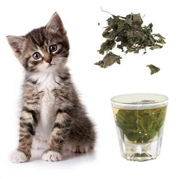 cat carriers,crates & houses natural silvervine leaves catnip dried polygonum matatabi toys flavor
cat carriers,crates & houses natural silvervine leaves catnip dried polygonum matatabi toys flavor