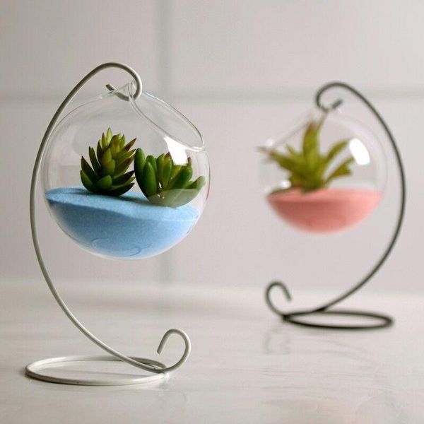 vases flower plant wall hanging clear glass vase bottle pot home garden ball decor wedding
vases flower plant wall hanging clear glass vase bottle pot home garden ball decor wedding