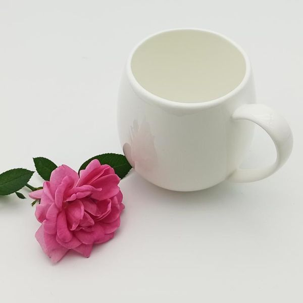 mugs pure color bone china cup noble temperament mug delicate and transparent porcelain coffee milk
mugs pure color bone china cup noble temperament mug delicate and transparent porcelain coffee milk