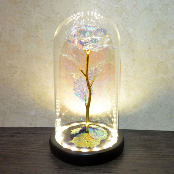 downlights romantic glass colorful eternal flower wedding deco holiday gift for valentine's gifts led rose lamps
downlights romantic glass colorful eternal flower wedding deco holiday gift for valentine's gifts led rose lamps