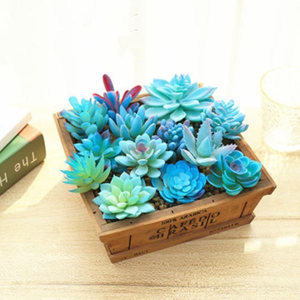 decorative flowers & wreaths blue artificial succulents plants home garden decoration desksmall bonsai flower arrangement accessories pl
decorative flowers & wreaths blue artificial succulents plants home garden decoration desksmall bonsai flower arrangement accessories pl