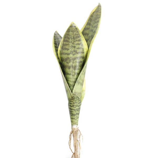 decorative flowers & wreaths artificial flower sansevieria trifasciata prain simulation succulent agave plant for deskhome office shop g
decorative flowers & wreaths artificial flower sansevieria trifasciata prain simulation succulent agave plant for deskhome office shop g