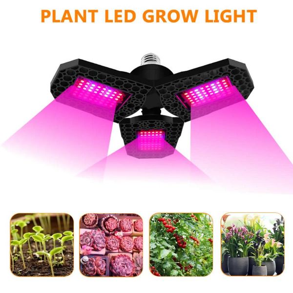 led grow light full spectrum growth phytolamp for plants indoor greenhouse flowers seeds hydroponics lamp waterproof e27/e26
led grow light full spectrum growth phytolamp for plants indoor greenhouse flowers seeds hydroponics lamp waterproof e27/e26
