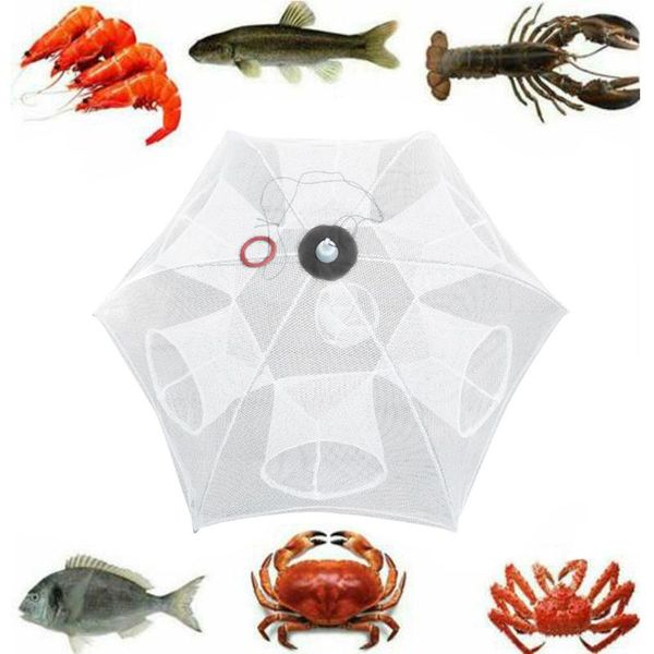 folding fishing net shrimp cage foldable 6/8 holes crab fish trap net fishing minnow crab trap cages mesh fish nets tool
folding fishing net shrimp cage foldable 6/8 holes crab fish trap net fishing minnow crab trap cages mesh fish nets tool