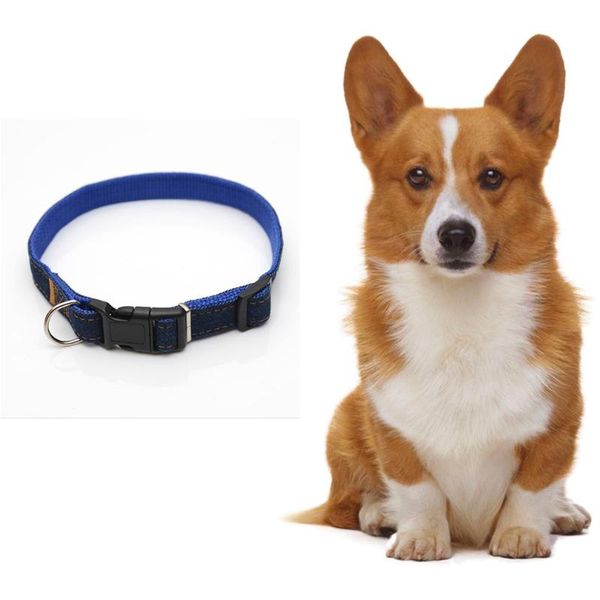 dog collars & leashes 1/1.5/2/2.5cm cowboy pet collar jean wear for small medium and large dogs size golden retriever poodle color
dog collars & leashes 1/1.5/2/2.5cm cowboy pet collar jean wear for small medium and large dogs size golden retriever poodle color