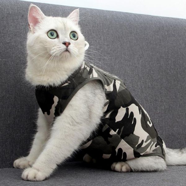 new pet cat supplies suit gown weaning comfortable elastic anti-licking posrative camouflage
new pet cat supplies suit gown weaning comfortable elastic anti-licking posrative camouflage