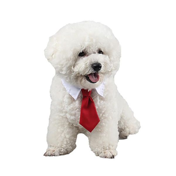 dog apparel pet cat formal necktie tuxedo bow tie black and red collar for accessories suit small medium dogs cats 
dog apparel pet cat formal necktie tuxedo bow tie black and red collar for accessories suit small medium dogs cats