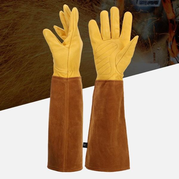 disposable gloves s/m/l 3 size cowhide work safety welding for garden universal lengthen&thicken protective working
disposable gloves s/m/l 3 size cowhide work safety welding for garden universal lengthen&thicken protective working