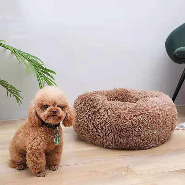 super soft cat bed round fluffy pet dog cat sleeping bed long plush warm pet mat cute lightweight comfortable soft kennel
super soft cat bed round fluffy pet dog cat sleeping bed long plush warm pet mat cute lightweight comfortable soft kennel