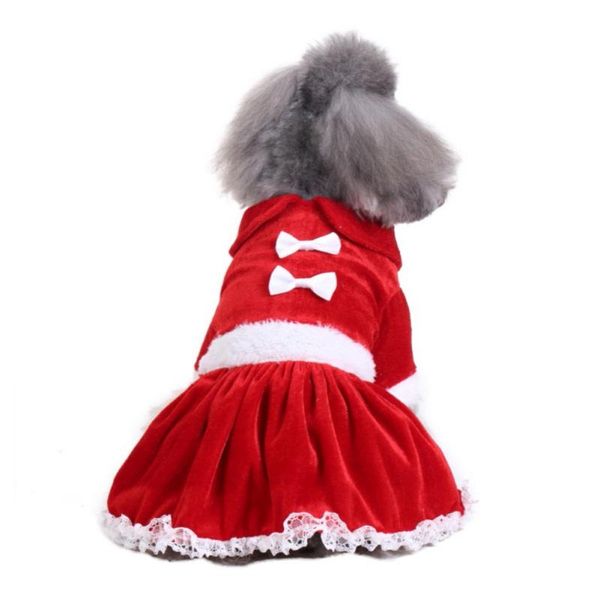 christmas bow skirt pet dog lace cotton christmas dress dogs' red dresses warm princess dress dog dresses princess skirt
christmas bow skirt pet dog lace cotton christmas dress dogs' red dresses warm princess dress dog dresses princess skirt