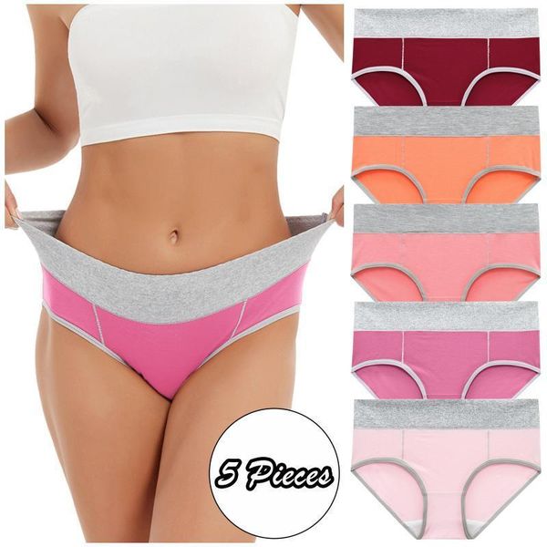 yoga outfit 5pc abdomen high waist ladies cotton panties bondage sports briefs large size breathable women underwear
yoga outfit 5pc abdomen high waist ladies cotton panties bondage sports briefs large size breathable women underwear