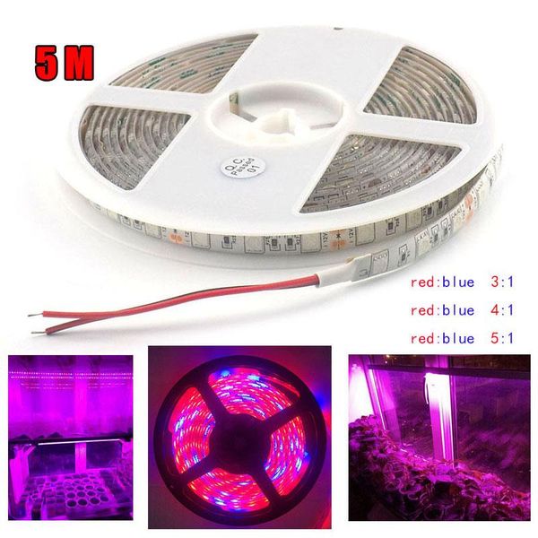 5m led plant grow strip lights growing phyto lamp dc 12v chips for veg flower hydro greenhouse indoor growbox tent
5m led plant grow strip lights growing phyto lamp dc 12v chips for veg flower hydro greenhouse indoor growbox tent