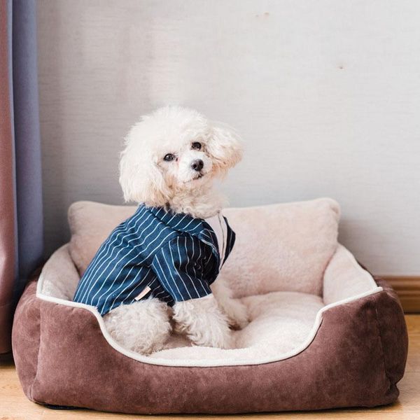 cartoon animal lion puppy dog beds mats sofa cute round cushion pet house cozy warm cat bed teddy chihuahua kennel
cartoon animal lion puppy dog beds mats sofa cute round cushion pet house cozy warm cat bed teddy chihuahua kennel