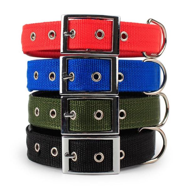 dog collars & leashes adjustable necklace nylon collar with alloy buckle random color
dog collars & leashes adjustable necklace nylon collar with alloy buckle random color