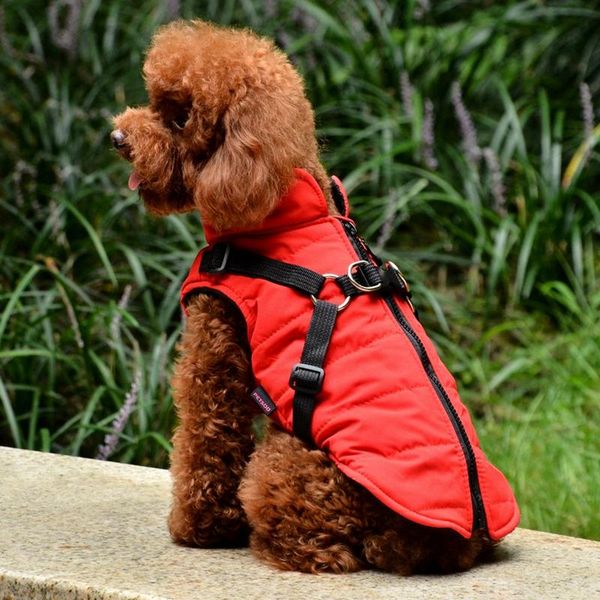 dog apparel pet cotton clothes with leash harness for small medium dogs zipper autumn winter thicken warm costume