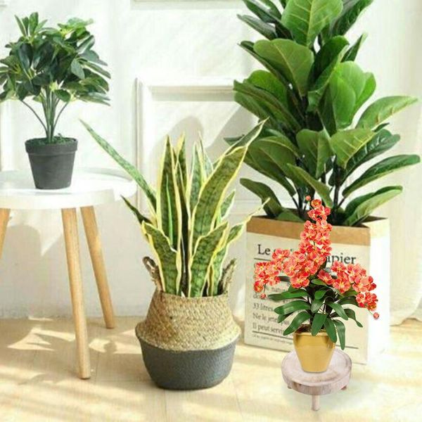 decorative flowers & wreaths retro wood grain garden plant pot riser flower display holder rack bonsai bench office living room indoor
decorative flowers & wreaths retro wood grain garden plant pot riser flower display holder rack bonsai bench office living room indoor
