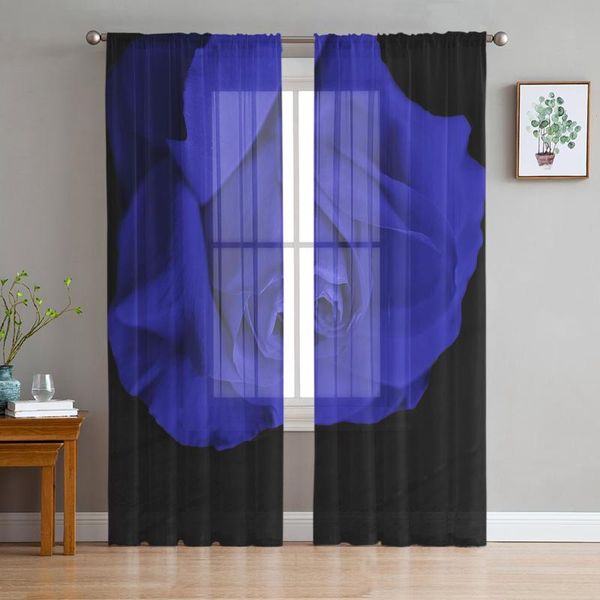 curtain & drapes rose blue window treatment tulle modern sheer curtains for kitchen living room the bedroom decoration
curtain & drapes rose blue window treatment tulle modern sheer curtains for kitchen living room the bedroom decoration