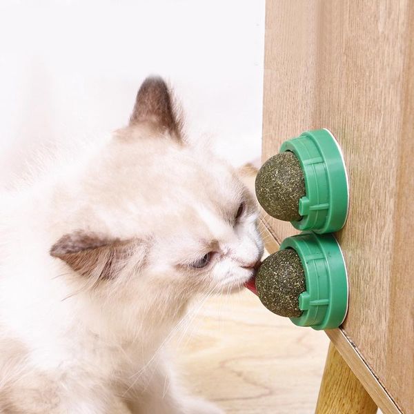 cat toys catnip ball toy can rotate to remove hair and clean teethedible dental stick licking pleasure
cat toys catnip ball toy can rotate to remove hair and clean teethedible dental stick licking pleasure