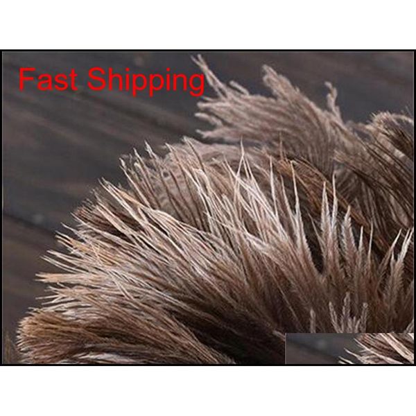 40 cm remove dust feather duster household round head ostrich hair redwood pole dusters creative jllrbk loveshop01
40 cm remove dust feather duster household round head ostrich hair redwood pole dusters creative jllrbk loveshop01