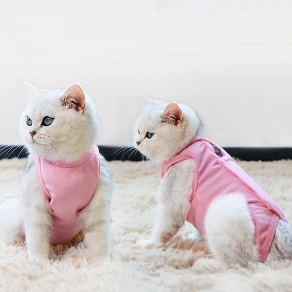 cat costumes pet clothes anti-lick spaying coat prevent licking of wounds kitten vest recovery suit products
cat costumes pet clothes anti-lick spaying coat prevent licking of wounds kitten vest recovery suit products