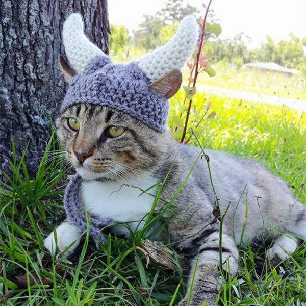 cat costumes halloween knitted hat hair accessories funny ox horn shaped headgear pet puppy dogs cosplay headwear cute headdress
cat costumes halloween knitted hat hair accessories funny ox horn shaped headgear pet puppy dogs cosplay headwear cute headdress